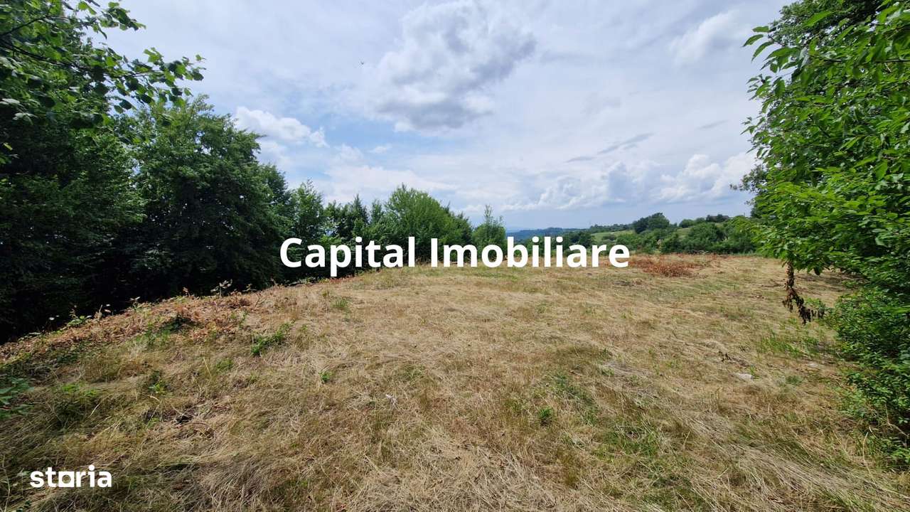 Teren Baia Sprie: 5143 mp, Parcelabil, Comision 0! - Imagine principală: 4/7