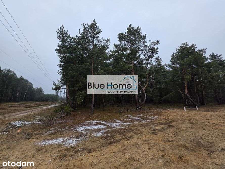 Działka budowlana Jar Toruń Mpzp !! - Pełny obrazek: 5/5