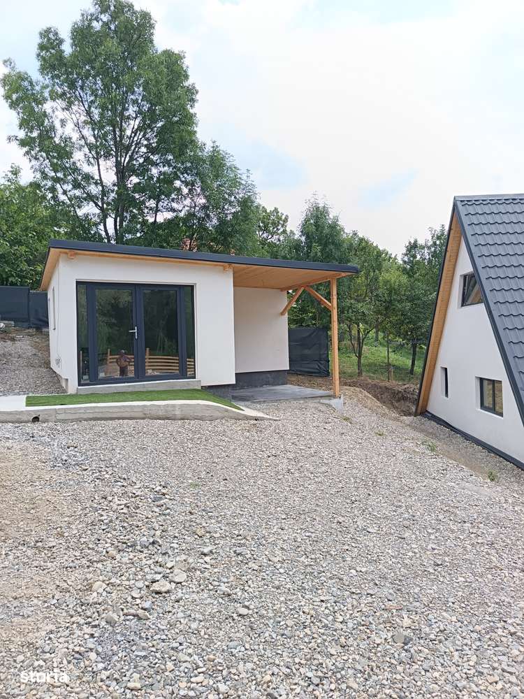 Două case de vacanță, Campina,O investiție inspirată-16