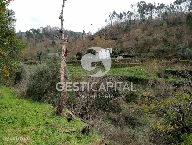 Oportunidade Única: Quinta para Habitação, Turismo ou Agricultura em M-40