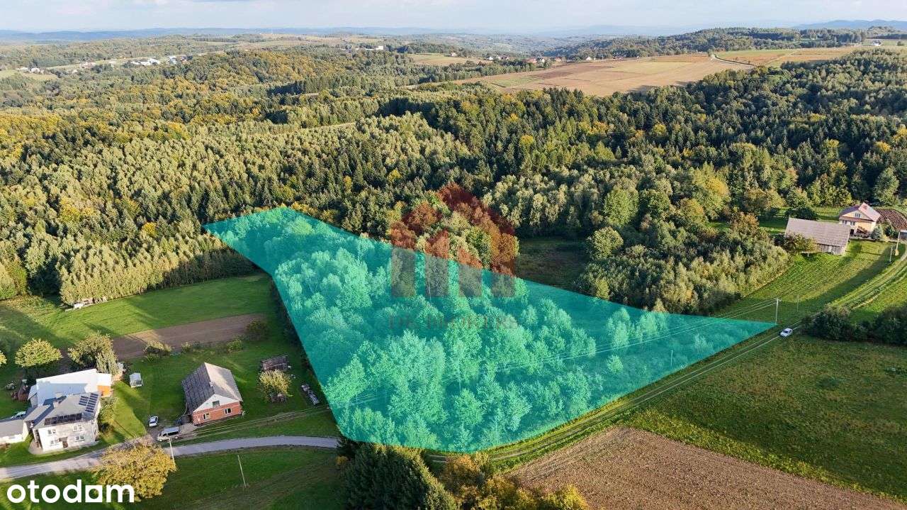 1,47 ha, Wz! dom w lesie? biznes? Jedyna taka!-3