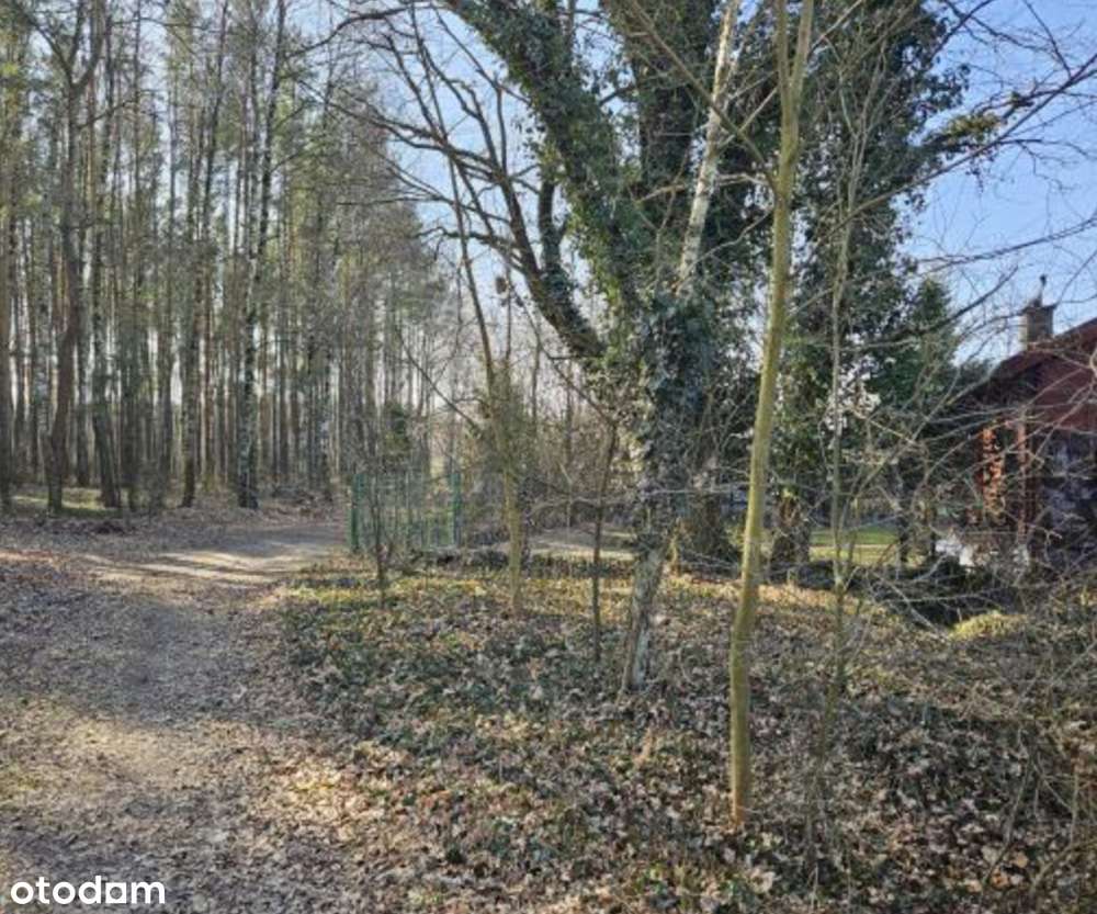 Udział w nieruchomości gruntowej - Podwody Kolonia, gm. Bełchatów - Pełny obrazek: 3/3