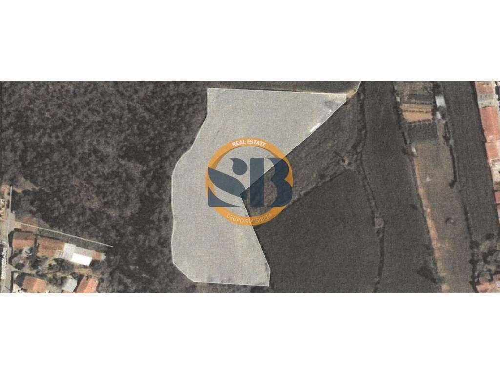 Terreno Arredores de Ovar - Grande imagem: 4/5
