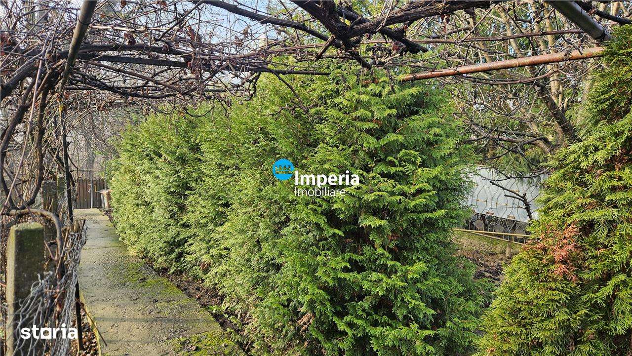 Oportunitate rezidentiala in Bucium – casa parter si teren 2700mp - Imagine principală: 4/6