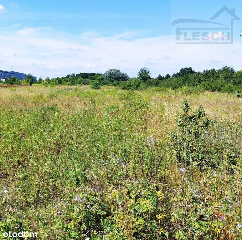 Działka budowlana Rusiec 1000m2 - Pełny obrazek: 5/7