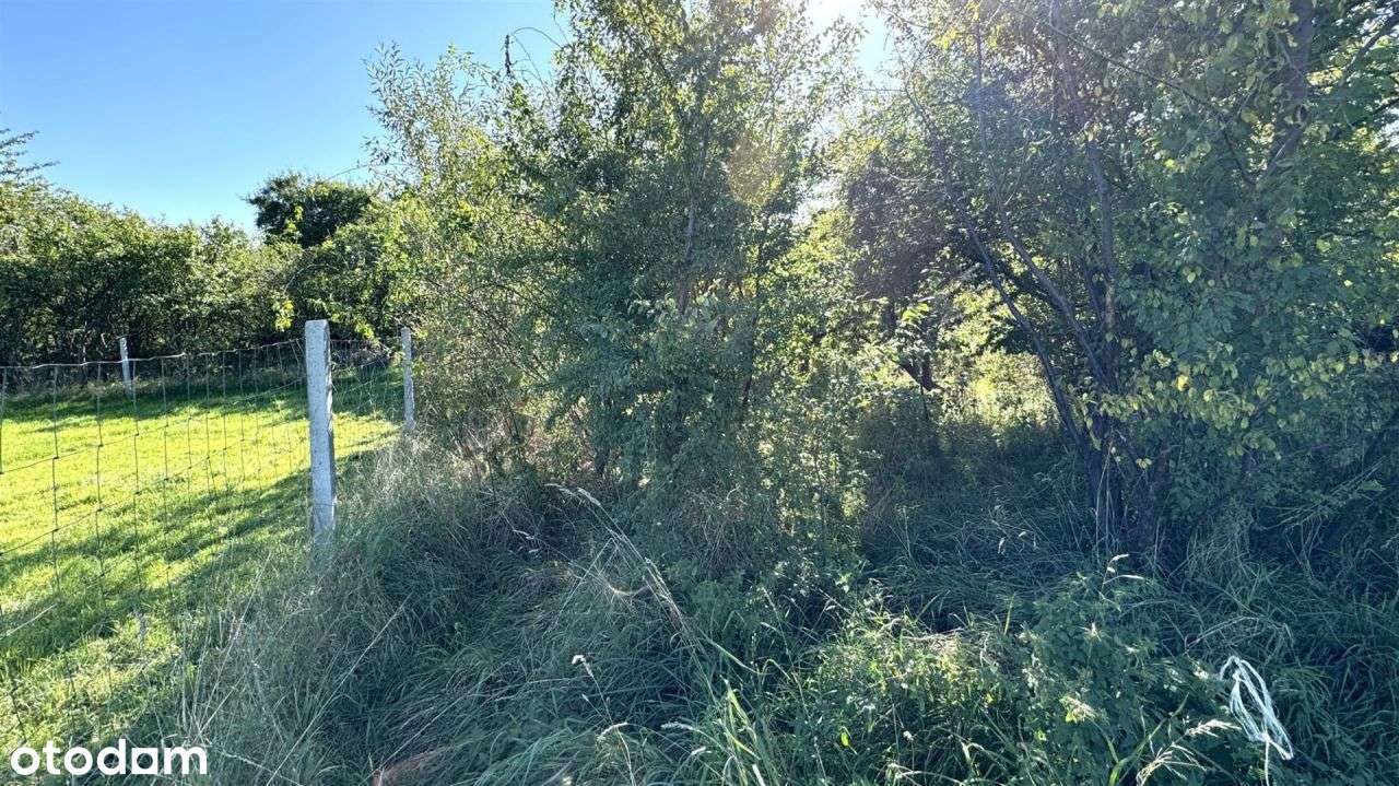 Cerekwica, gm. Trzebnica, budowlana, pow. 2475 mkw-4