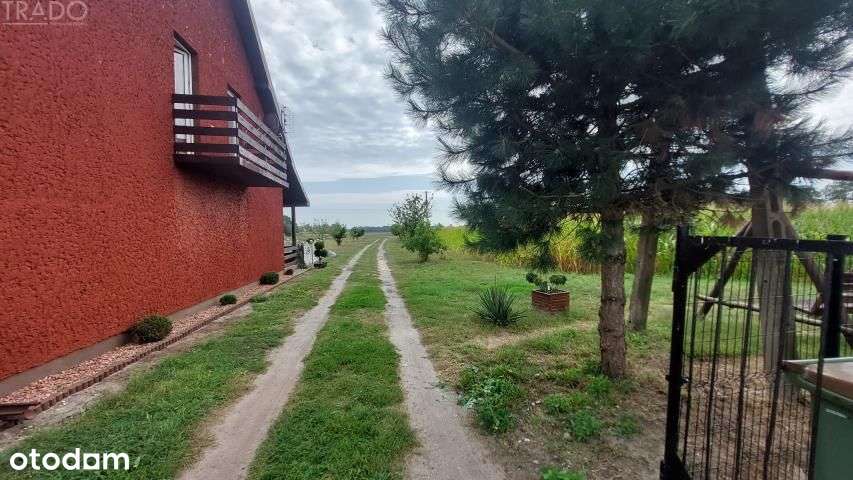 Gospodarstwo 6ha, Babiak, Krukowo-7