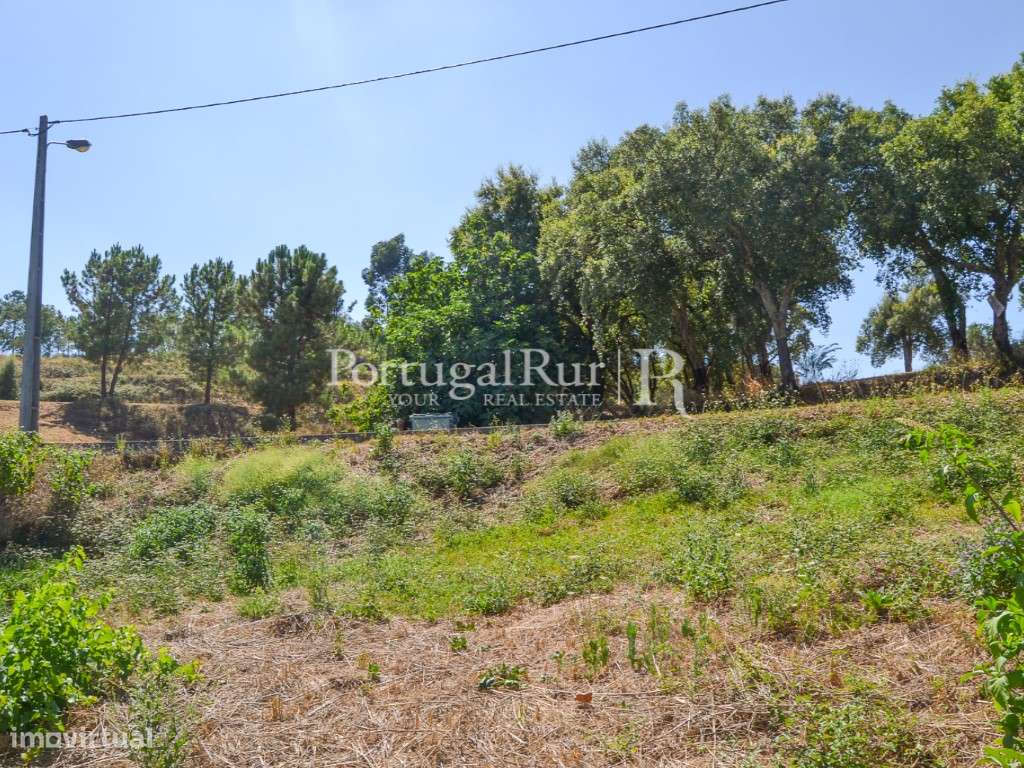 Lote com casa para recuperar e quintal em Proença-a-Nova - Grande imagem: 4/14