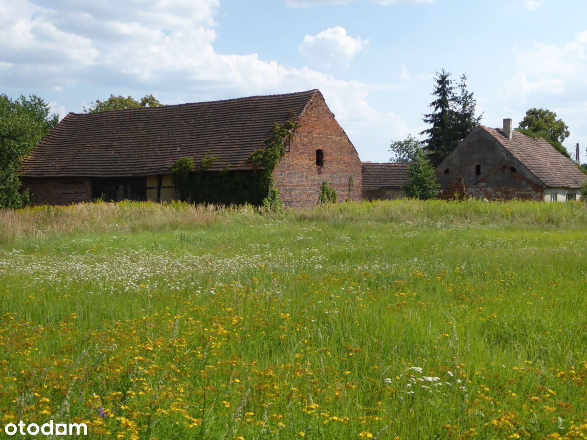 Dom Z Zabudową Gospodarcz Brzeg Dolny