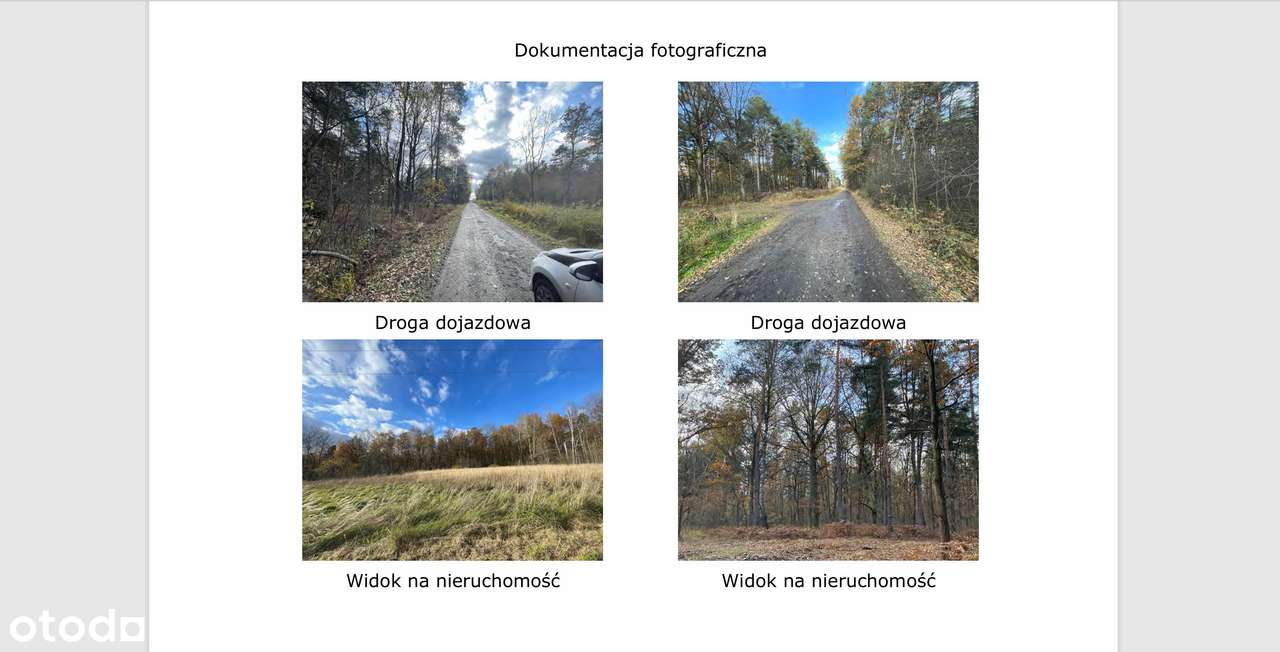 Syndyk sprzeda nieruchomość gruntową