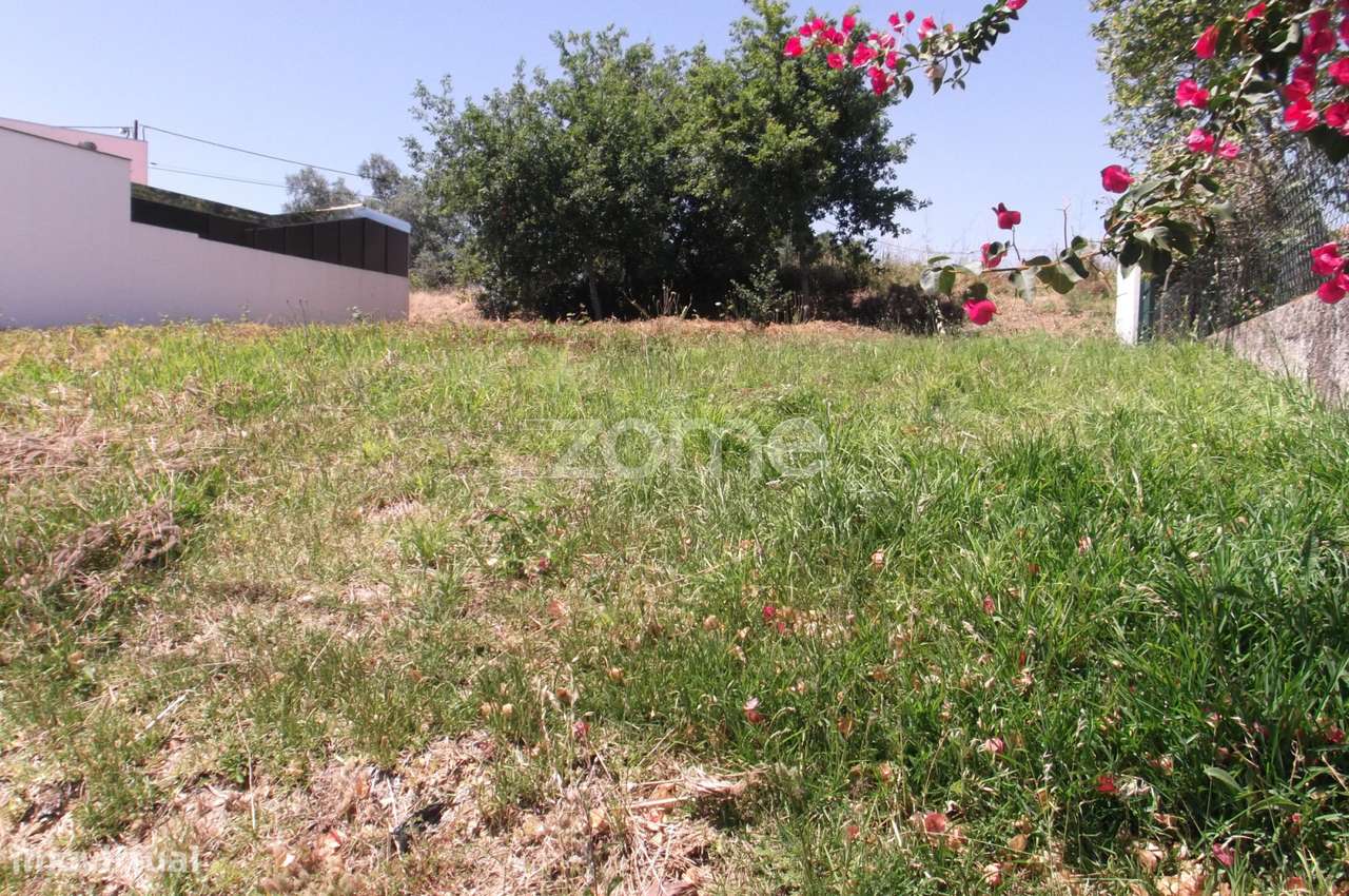 Terreno em Albergaria a Velha - Grande imagem: 3/15