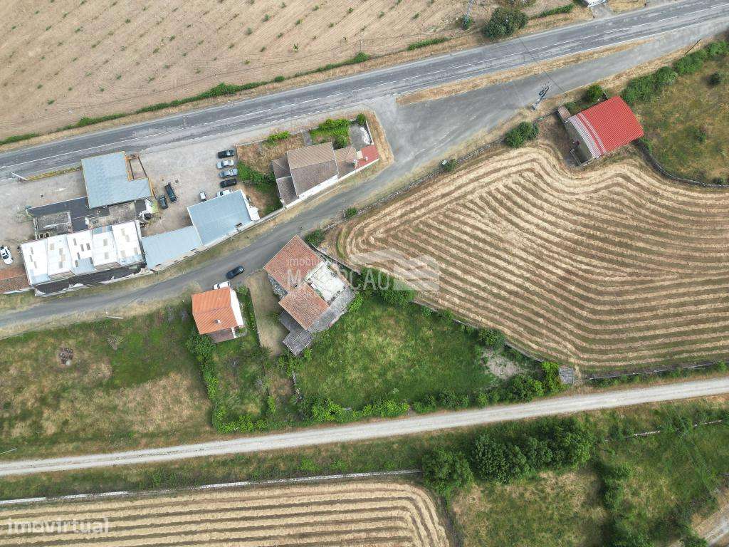 Moradia Duas Igrejas - Miranda do Douro - Grande imagem: 4/7