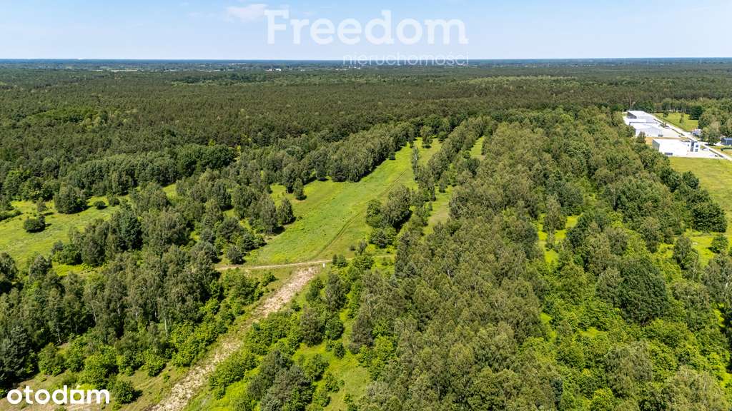 Działka PU 6 878 m² w Okuniewie - Pełny obrazek: 5/13