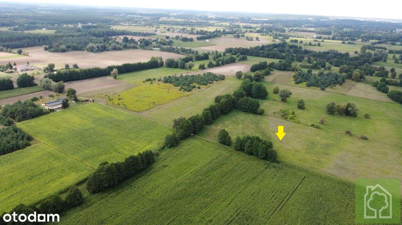 Działka, 3 001 m², Gutowo - Pełny obrazek: 4/7