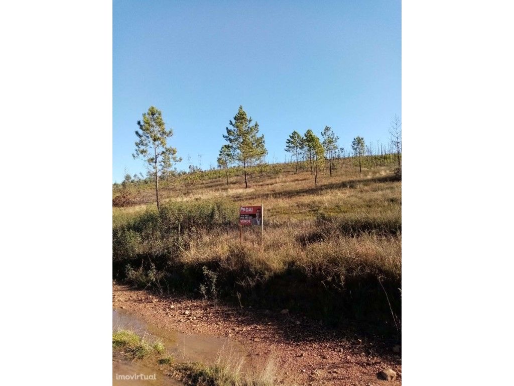 Terreno Rústico com 101360 M2 junto a vila de Mação