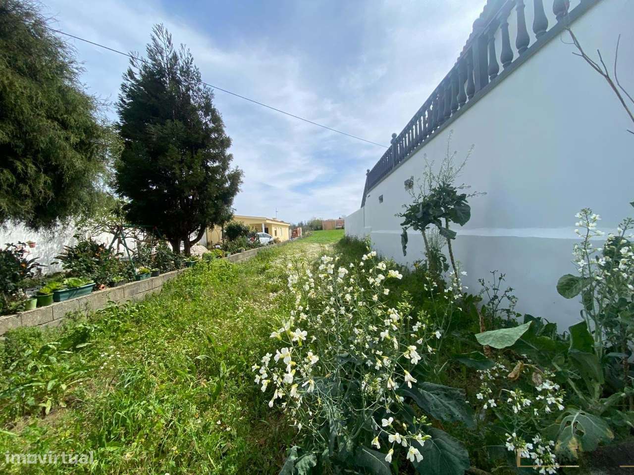 Terreno em Mindelo - Grande imagem: 3/7