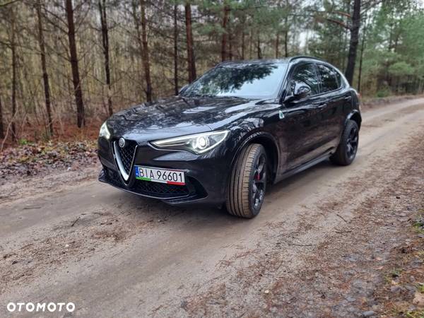 Alfa Romeo Stelvio 2.9 V6 Bi-Turbo Quadrifoglio Q4 - 7