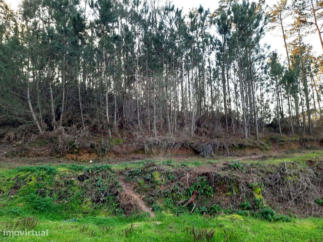 Terreno  para venda - Grande imagem: 3/4