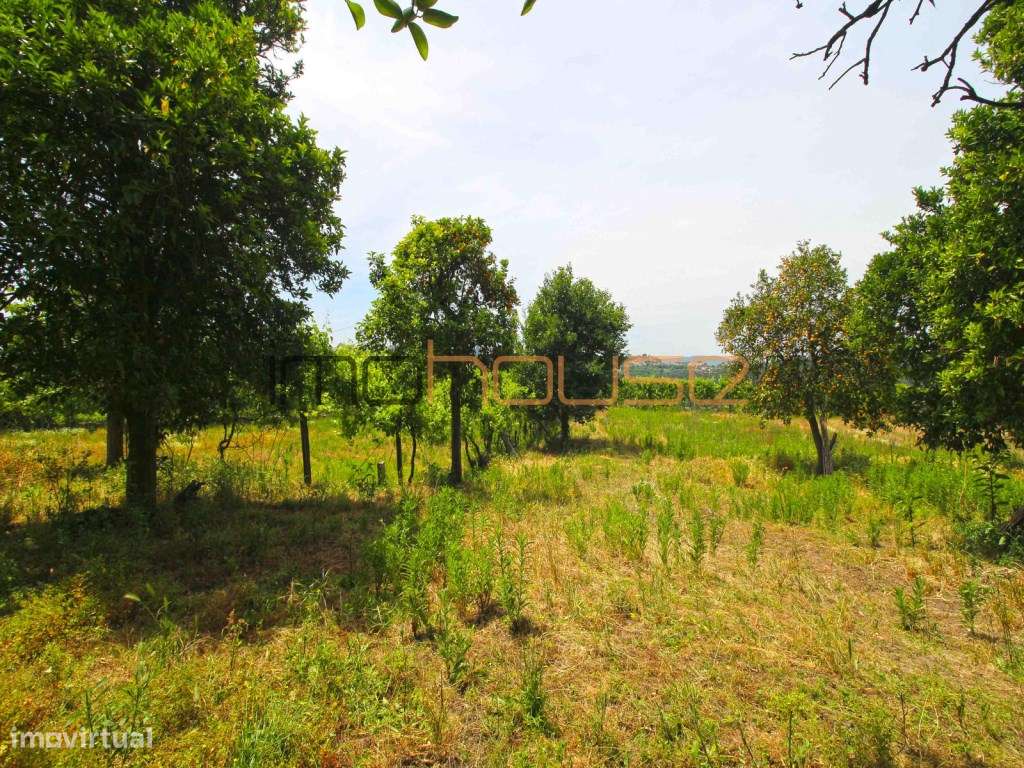 Quinta do séc. 18 - Amarante-20