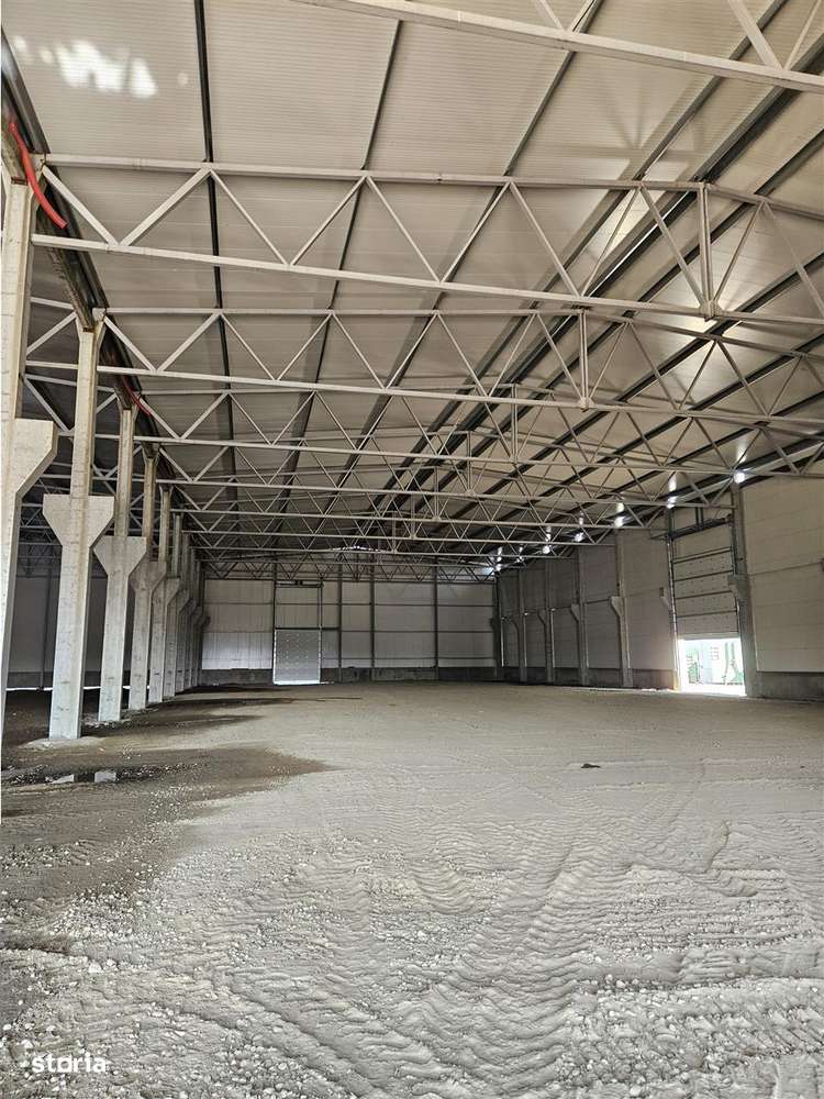 Spatiu Industrial - 4500 mp - Logistica - Depozitare - Productie - Imagine principală: 4/8