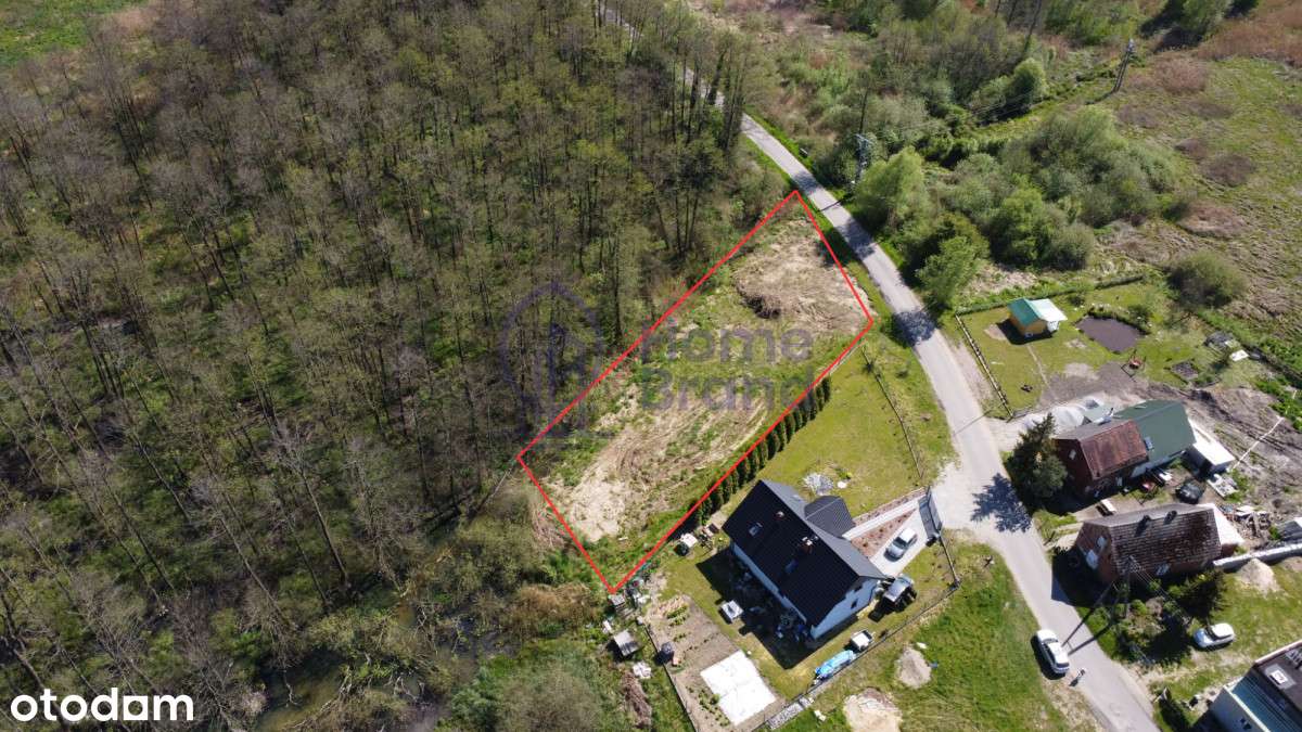 Obok Lasu| Sokołowice| Okazja - Pełny obrazek: 2/4