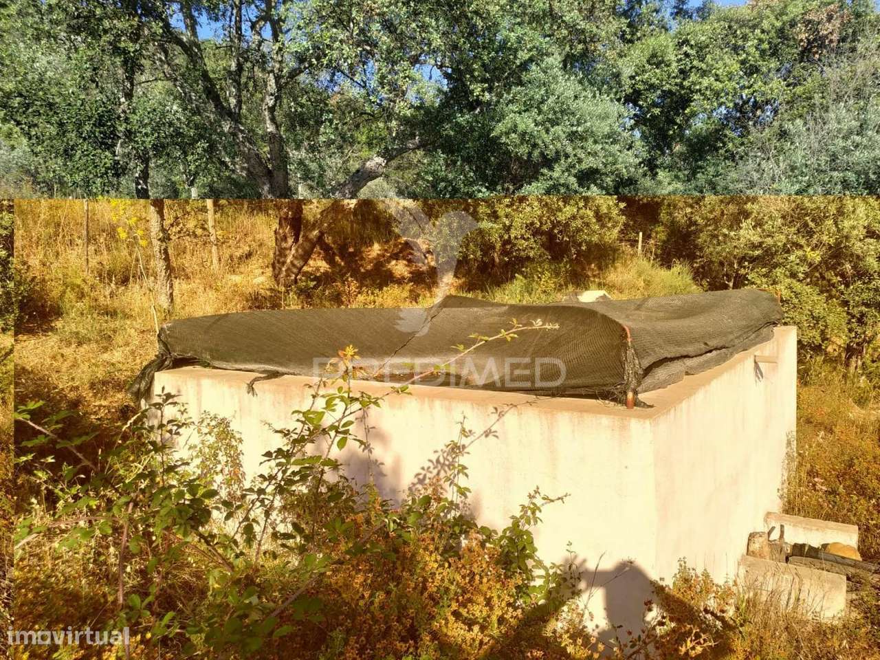 Terreno agrícola em Alegrete - Grande imagem: 4/20