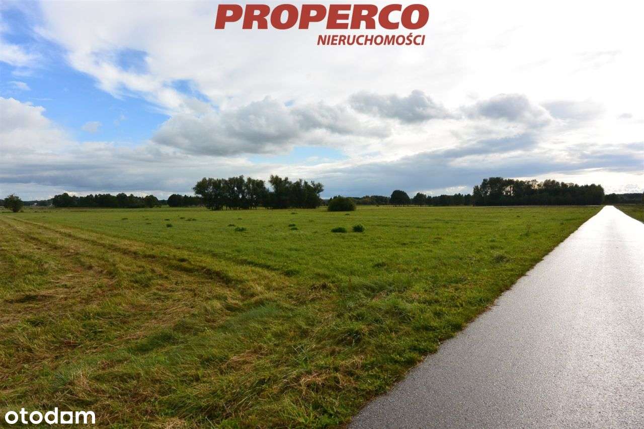 Działka 14800 m2, Antonielów, gm. Łopuszno - Pełny obrazek: 5/5