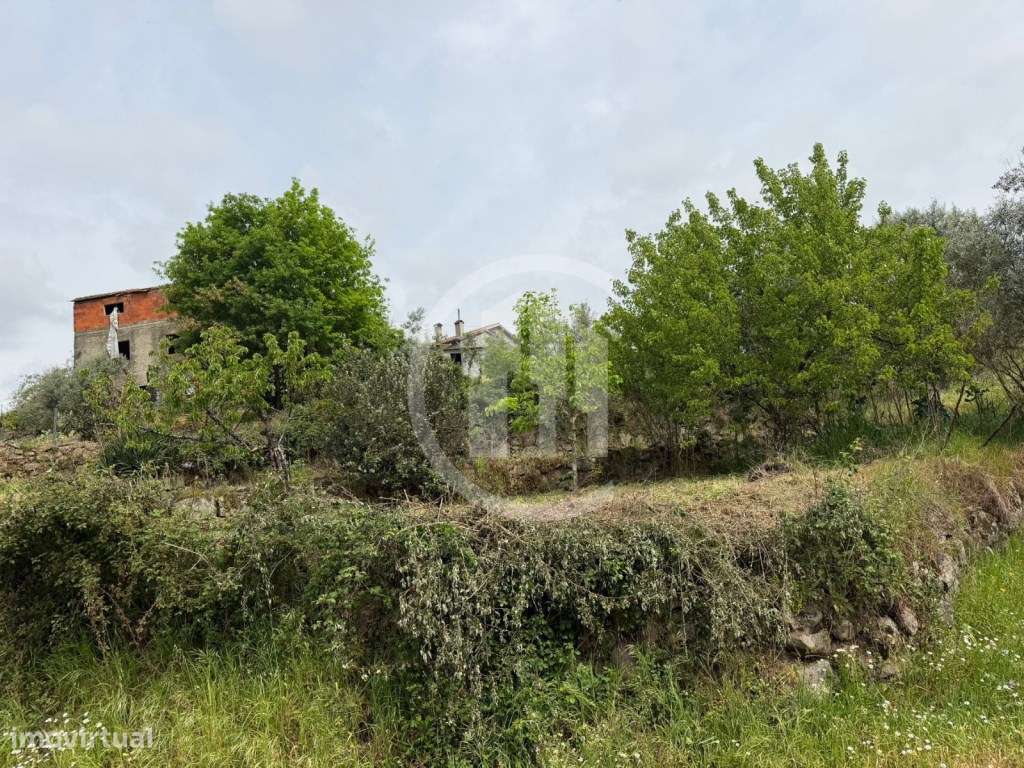 Terreno com construção - Vale da Loba, Beijós-9