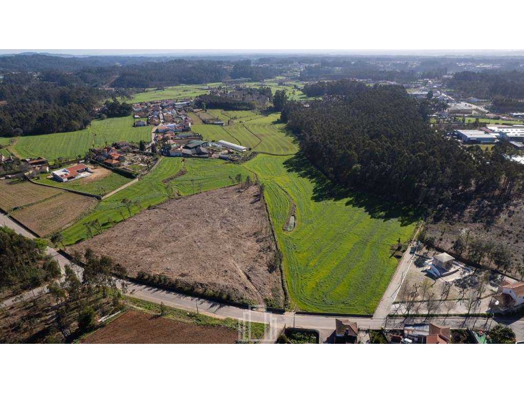 Terreno Rústico - S. Vicente Pereira Jusã, Ovar - Grande imagem: 2/7