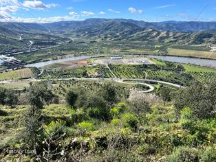 Quinta com 103ha no Pocinho com vinha, olival, sobral, 733m2 de edific