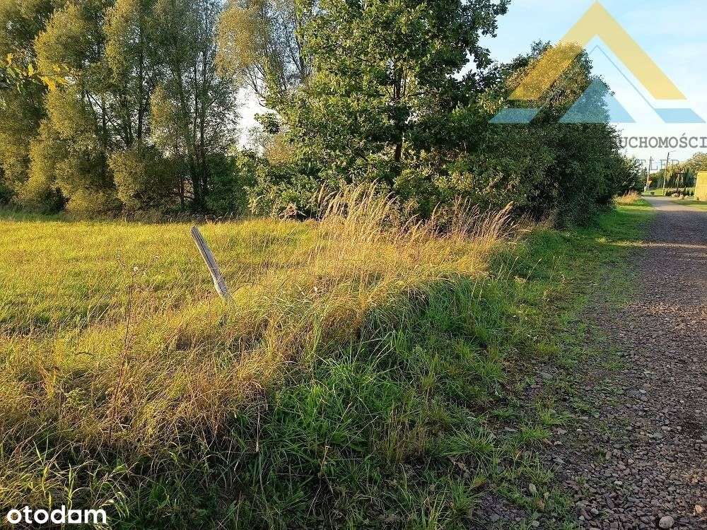 Działka rolna z potencjałem 2986 m2 , 79 tys.!-6