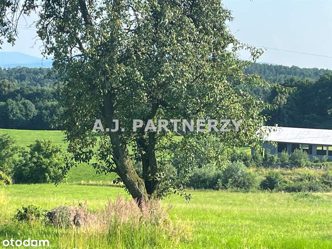 Działki w Grajowie obok szkoły z mediami-7