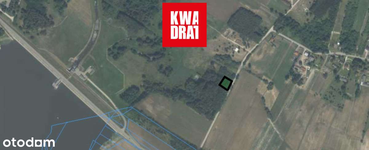 Działka zadrzewiona na użytkach rolnych | Młódnice-1