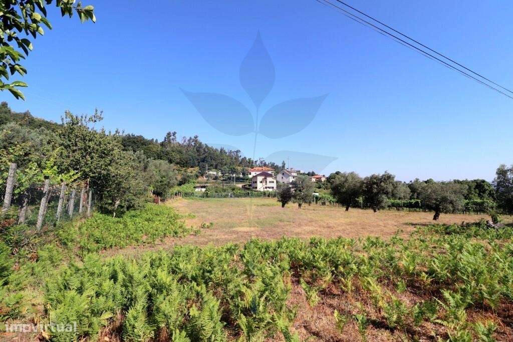 Terreno p/construção  ANAIS - Ponte de Lima-8