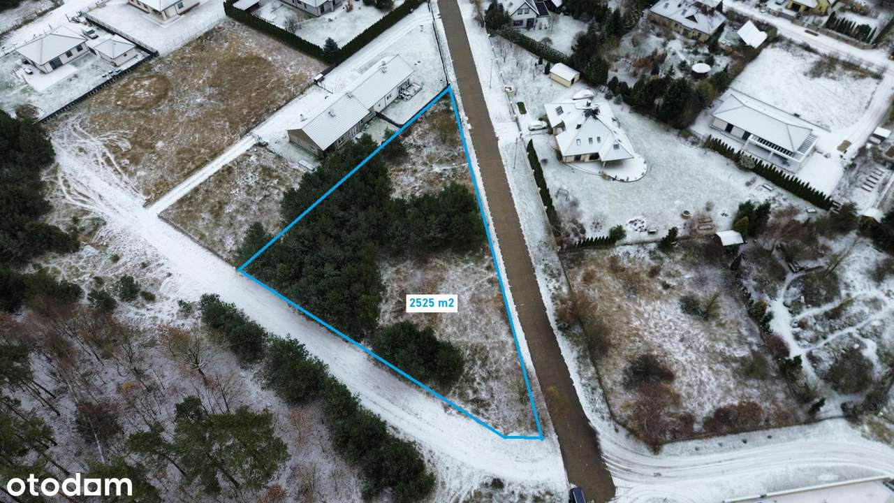 Dołuje ul. Lisia Działka pod lasem na rezydencję - Pełny obrazek: 5/7