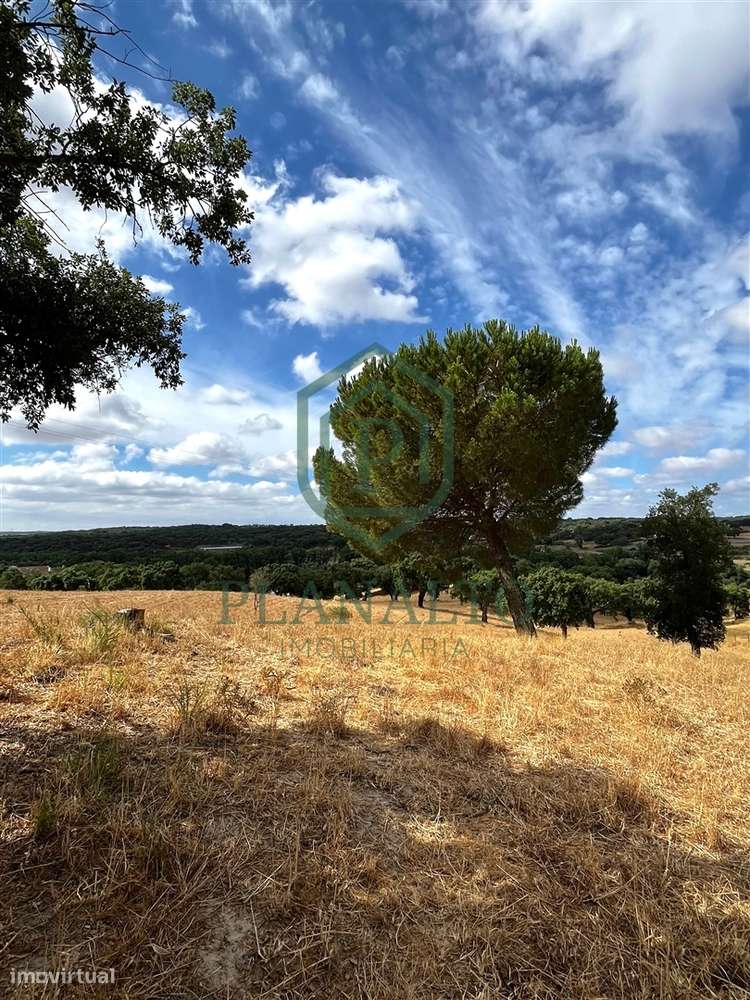 Quinta >=T10 Venda em Cortiçadas de Lavre e Lavre,Montemor-o-Novo-39