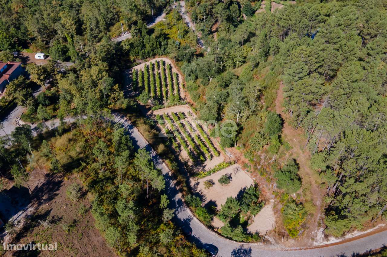 Terreno Rústico em Gatão, Amarante. - Grande imagem: 5/27
