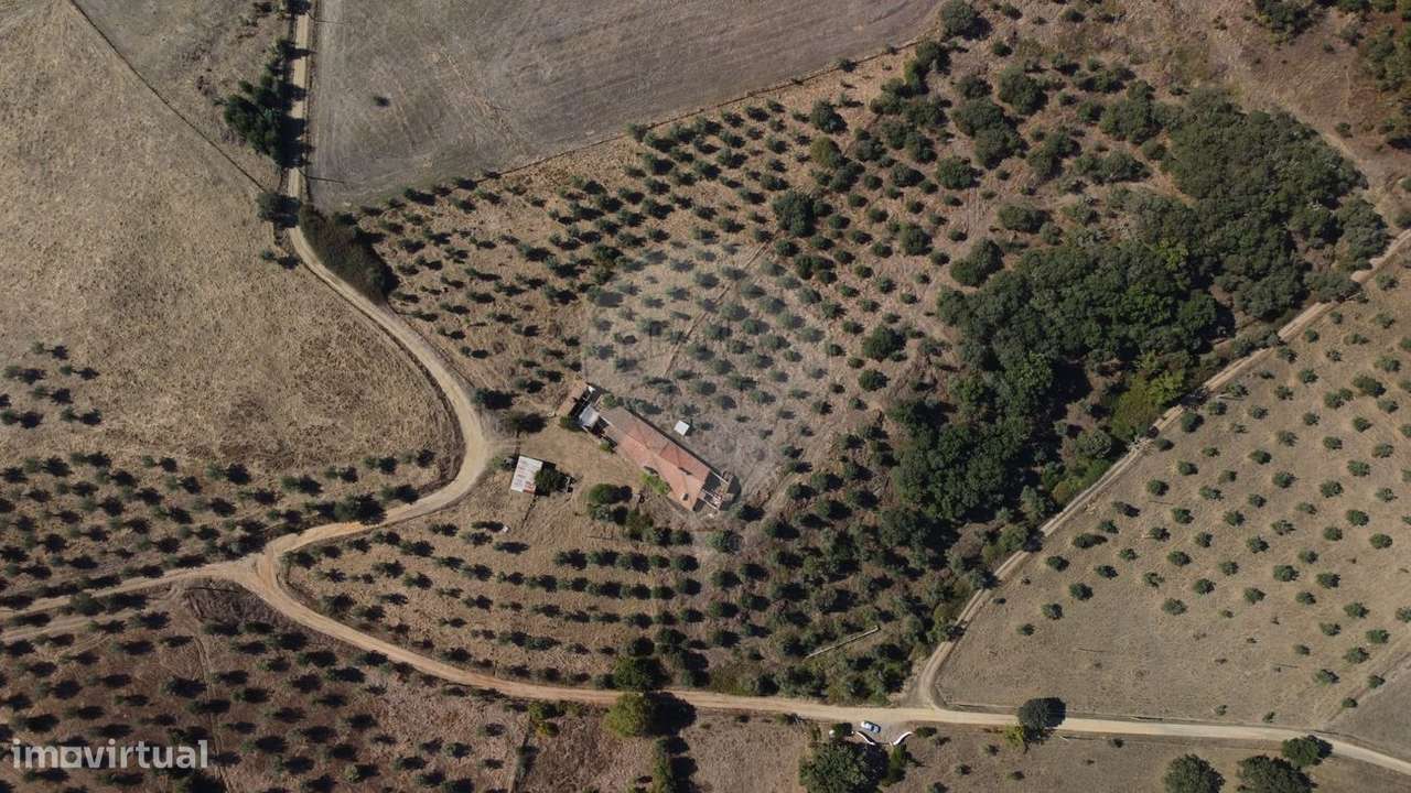 Quinta T4 para venda - Grande imagem: 4/6