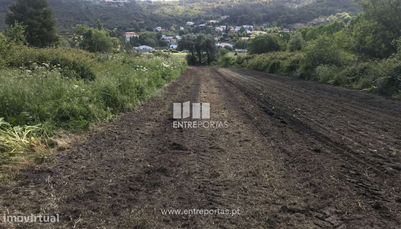 Terreno agrícola para venda, Cristelo, Caminha - Grande imagem: 3/6