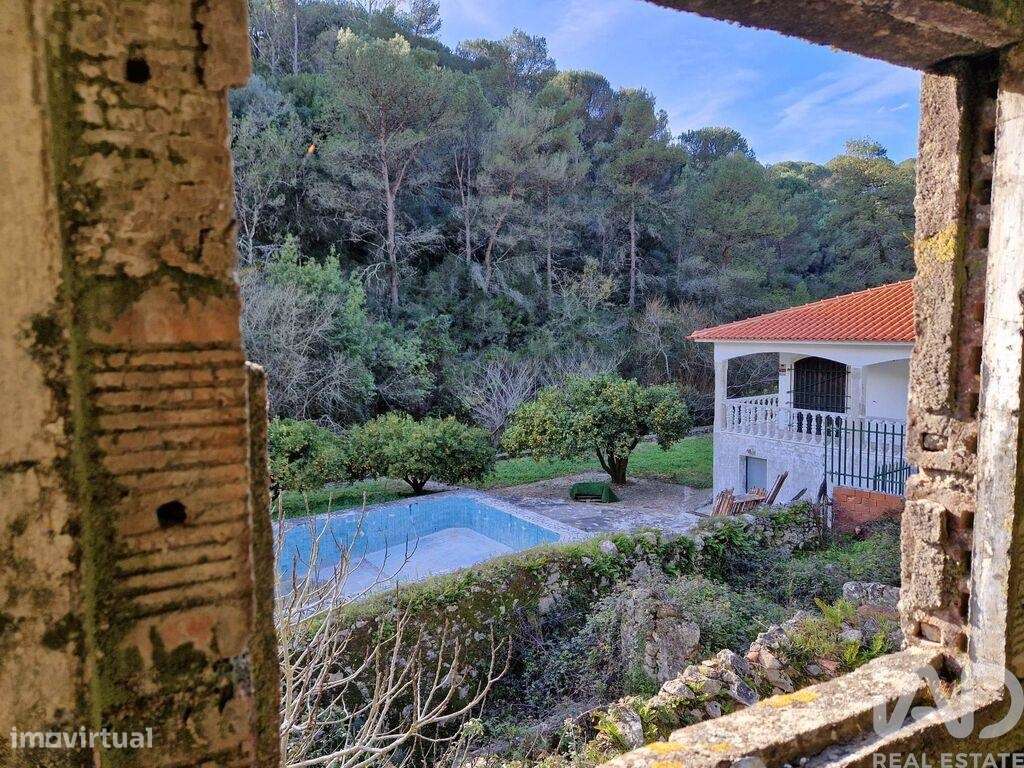 Comércio diverso em Porto de Mós - São João Baptista e São Pedro de 10 - Grande imagem: 5/26