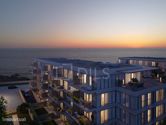 Sal D'ouro Horizon-38