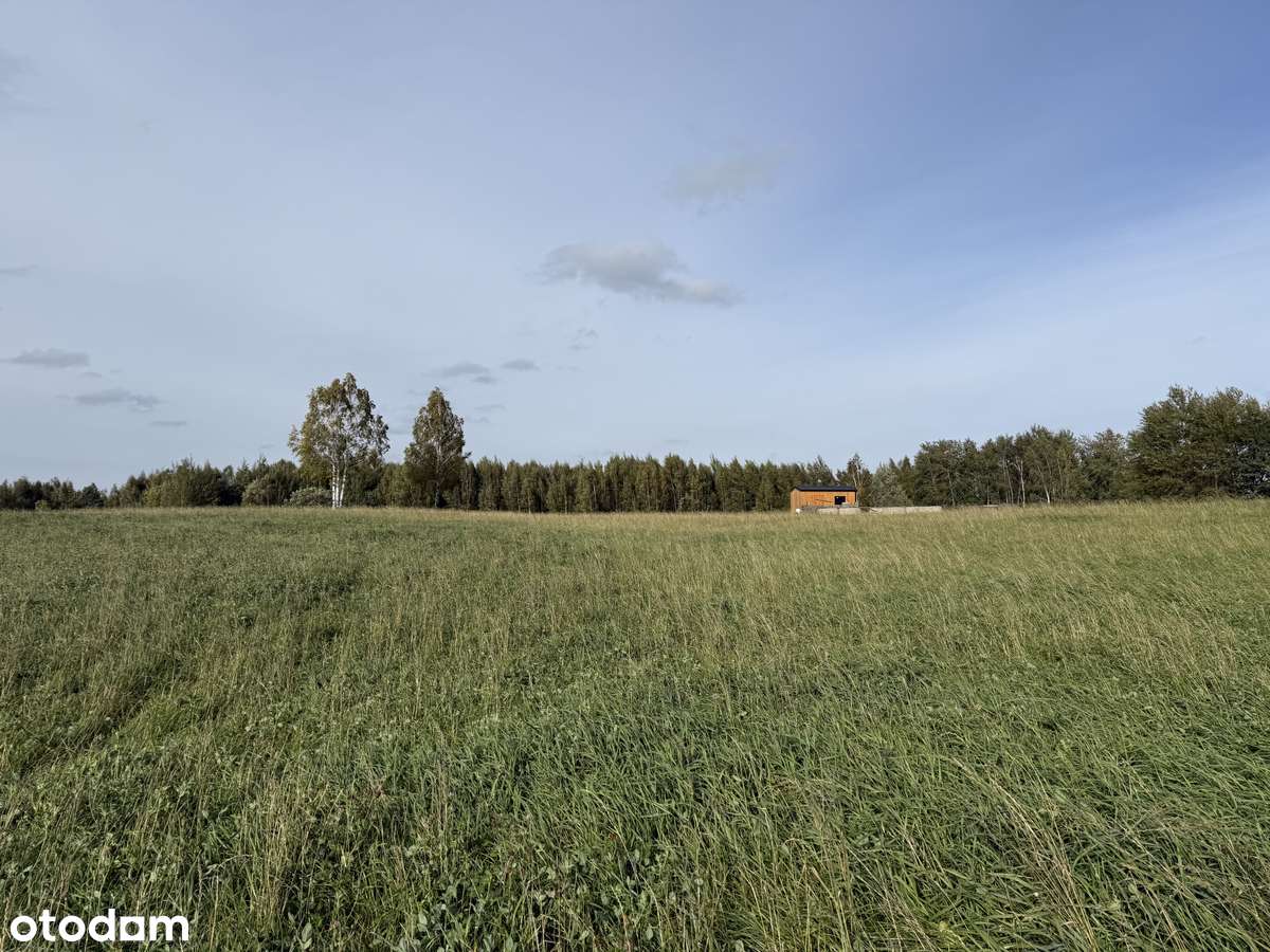 Działka budowlana 6,5ha na Warmii  Gołogóra-Skolity-Nowe Kawkowo - Pełny obrazek: 5/20