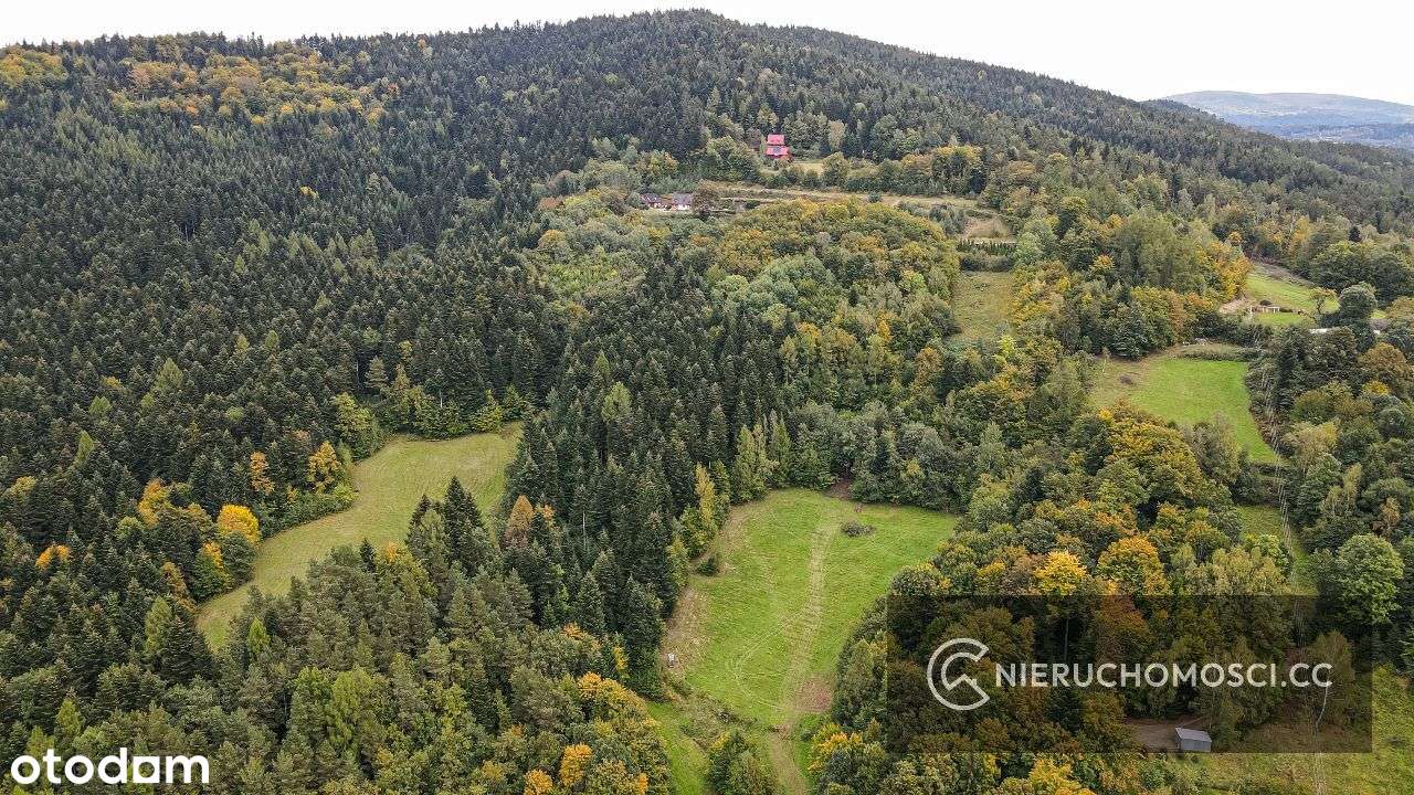 Działka budowlana 43 ar - Stróża pod LASEM ! - Pełny obrazek: 4/6