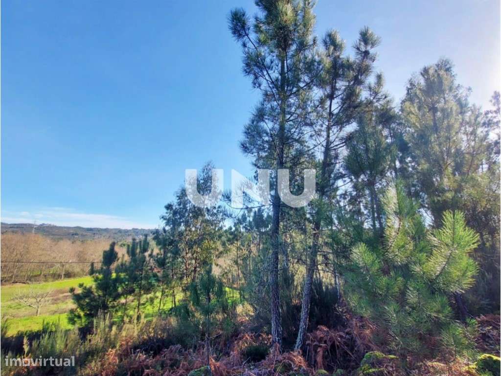 Terreno Rústico - Possibilidade de Construção - Grande imagem: 1/11