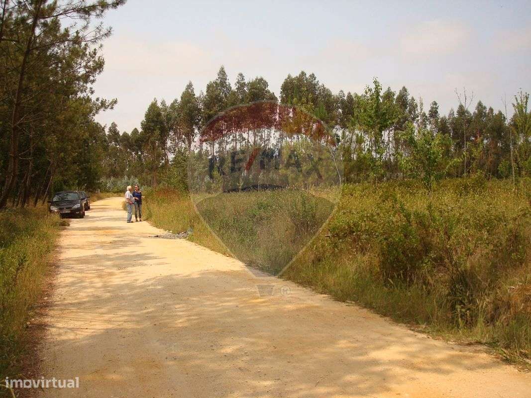 Terreno  para venda - Grande imagem: 3/11