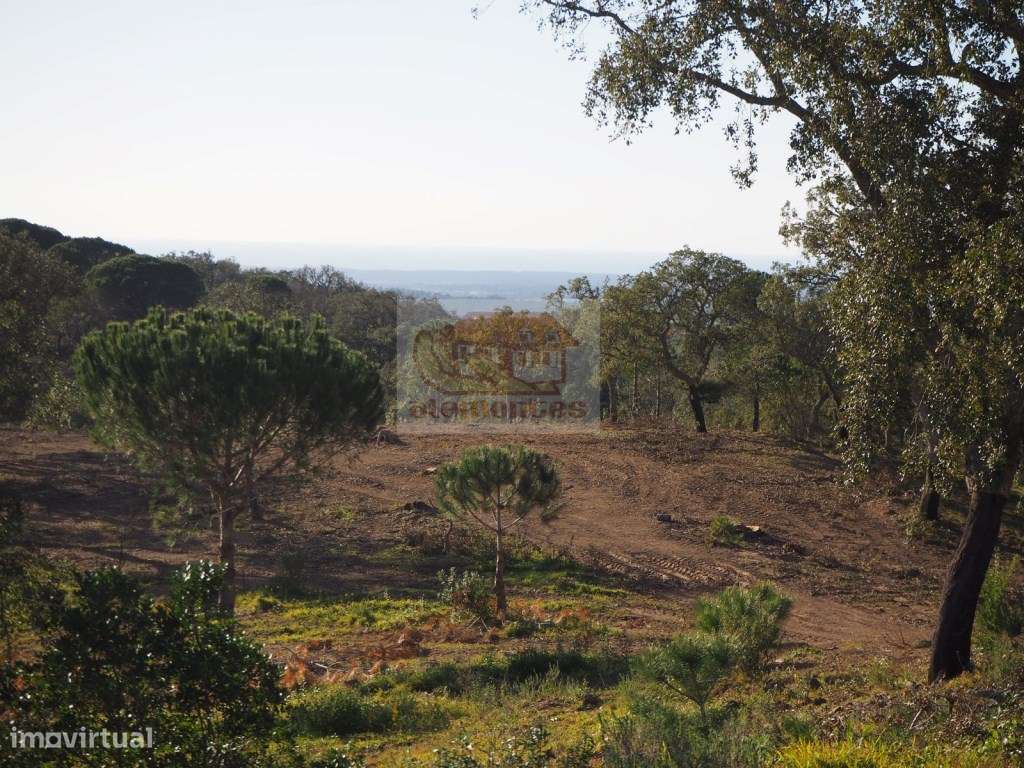 Land for sale in Santiago do Cacém, Portugal — €795,000