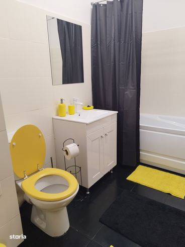 Apartament cu o cameră,str Porii langa PROFI Florești-11