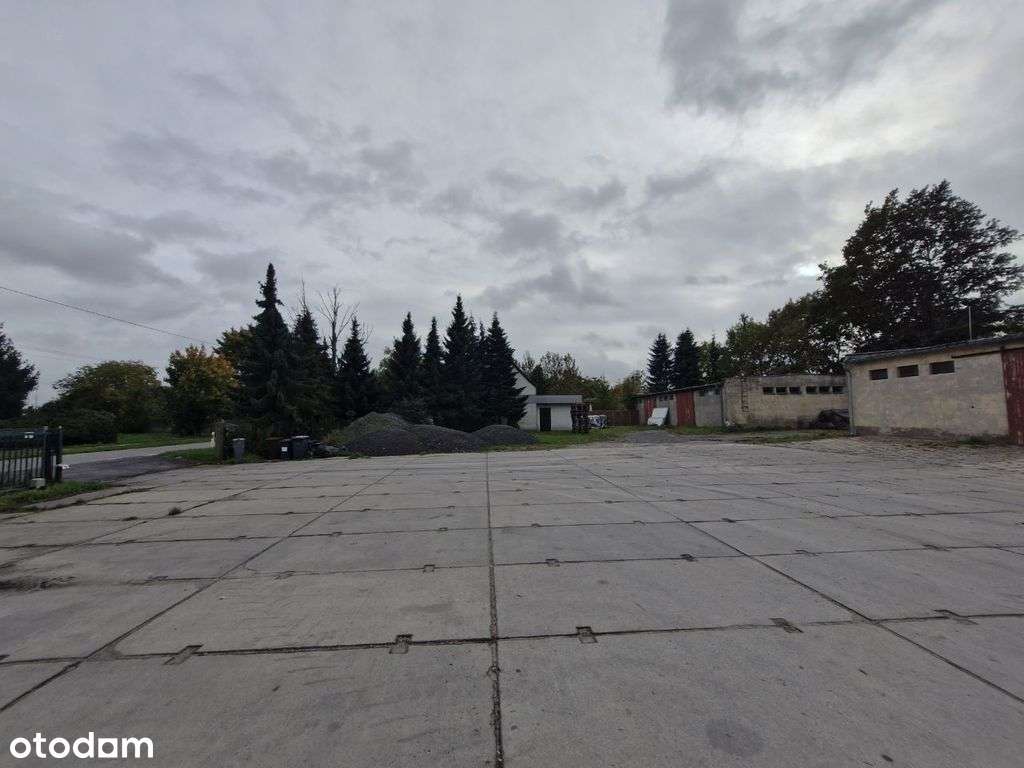 Nojewo, 10 km od Pniew, 1191 m2-5