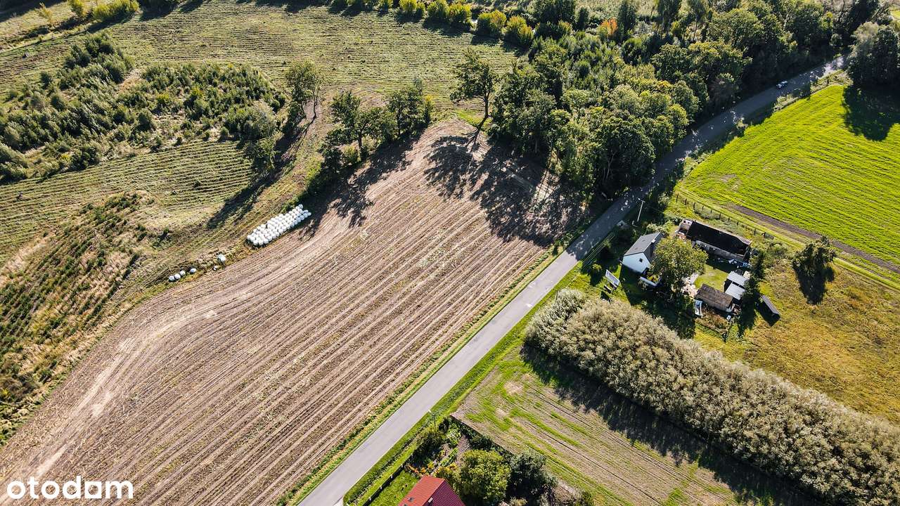 Nowy Folwark, gm. Września, pow. wrzesiński, woj. wielkopolskie-4