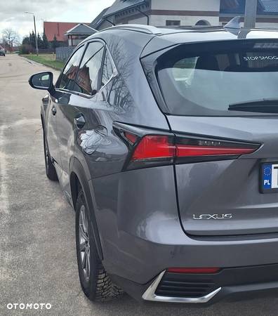 Lexus NX - 6